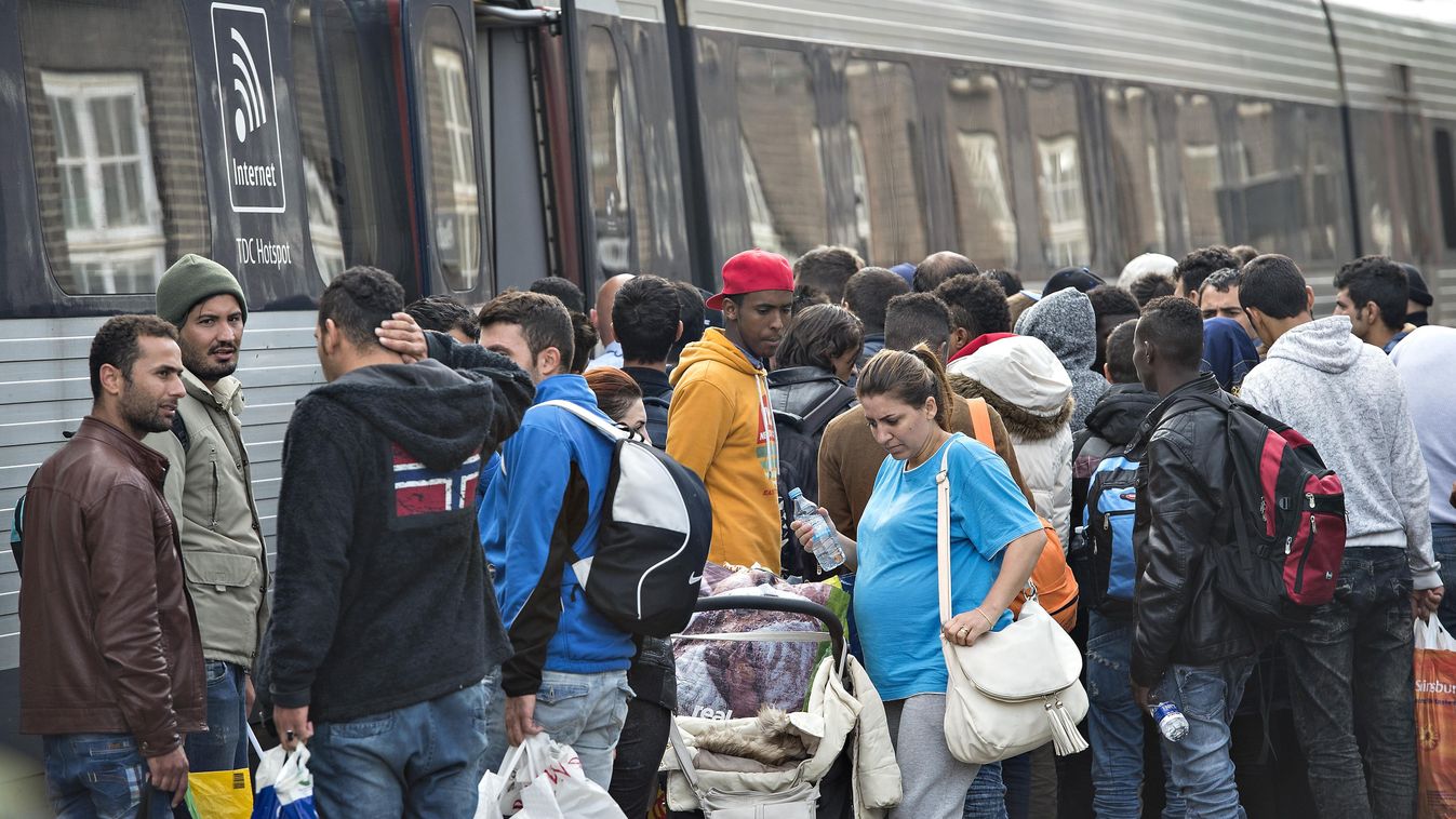 Dánia, bevándorlók, migránsok 