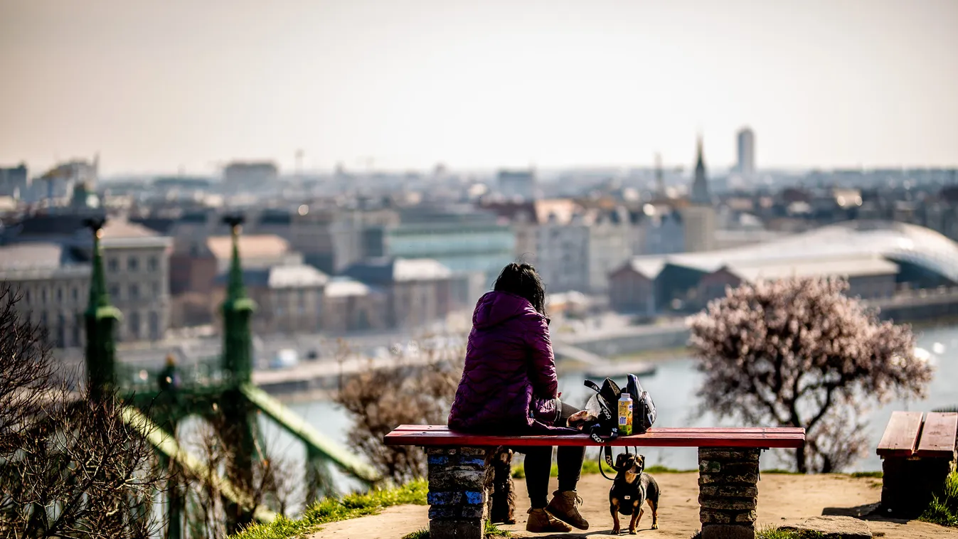 tavasz, virágzás, időjárás, napsütés, Budapest 