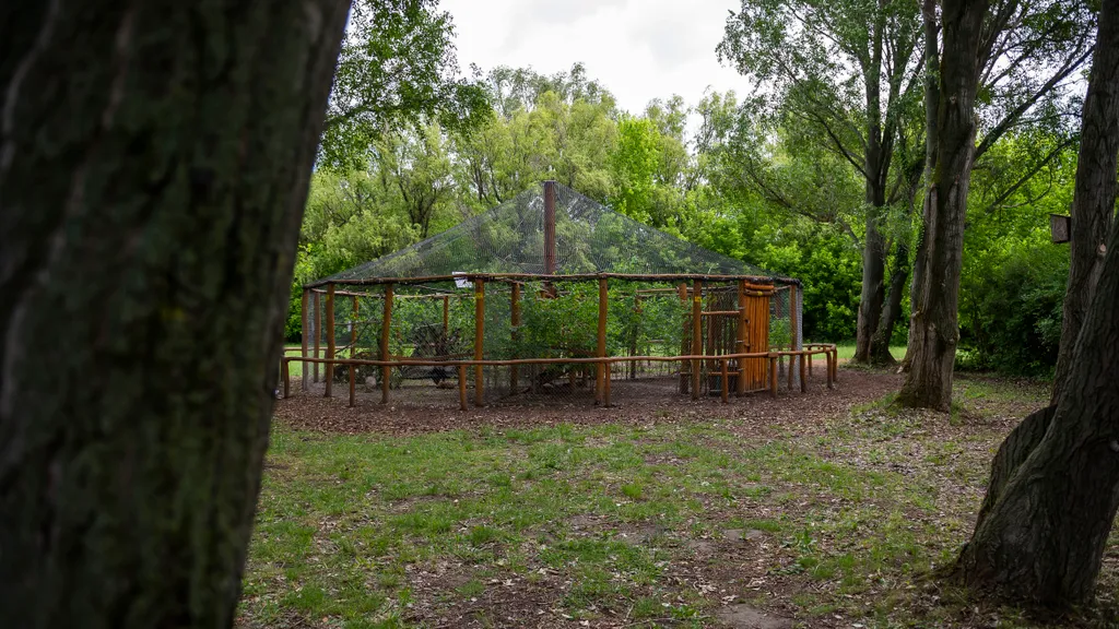 Pákozd-Sukorói Arborétum és Vadaspark 