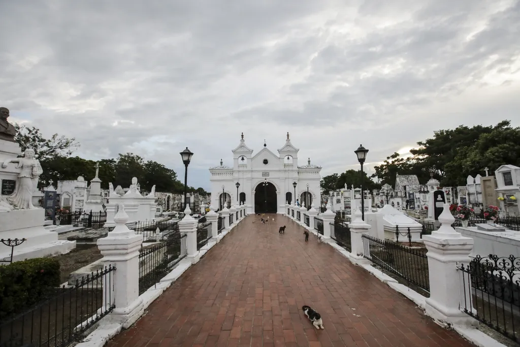 Santa Cruz de Mompox temető macskák 