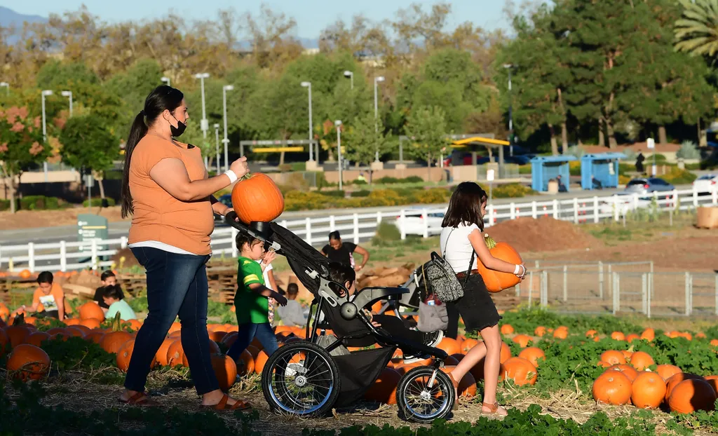 Halloween 2021, USA, galéria 