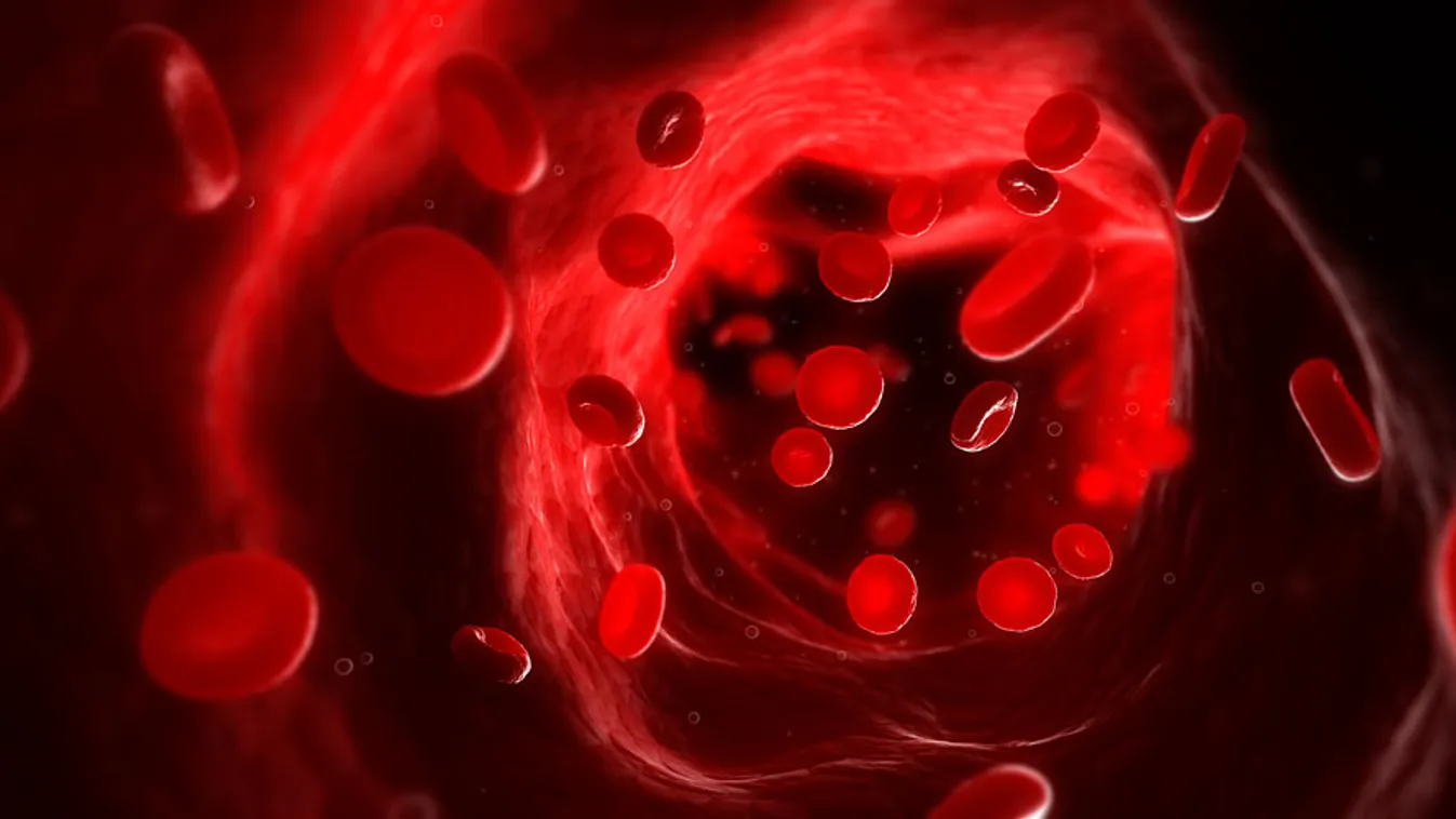 emberi vér, érhálózat, vörös vértestek, növényi DNS-t találétak emberi vérben
