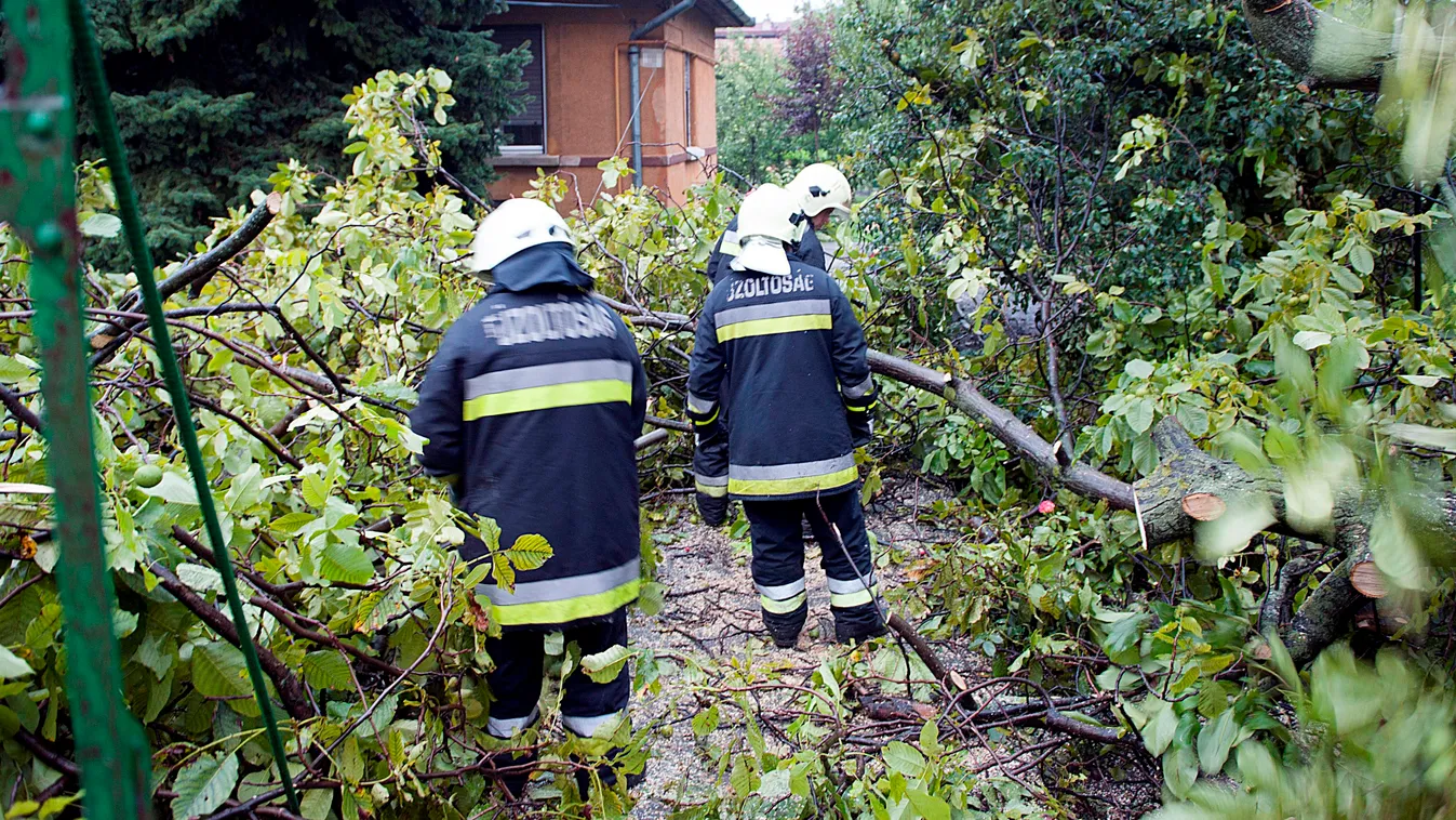 Családi ház kerítésére dőlt egy fa Budapesten 