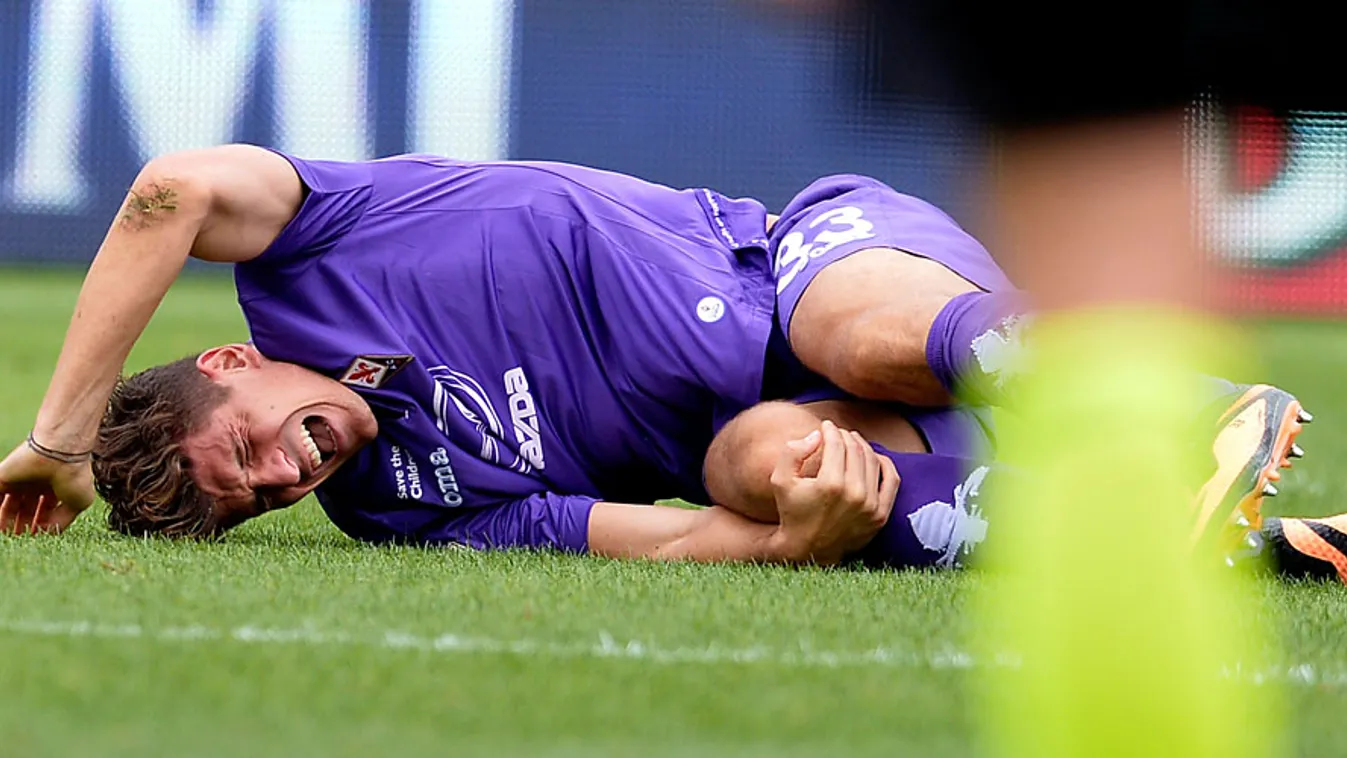 Mario Gomez, Fiorentina