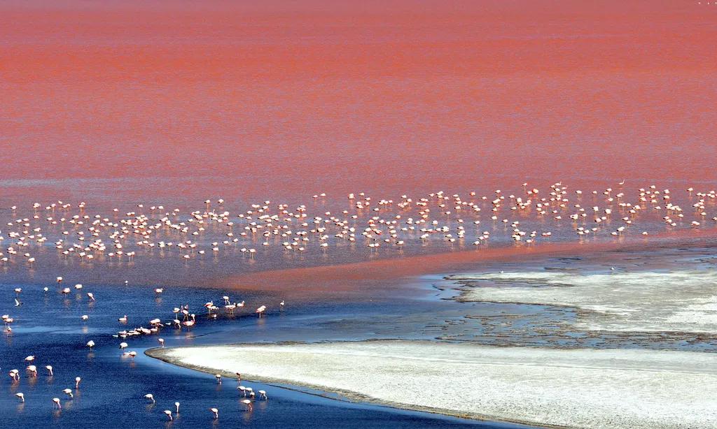 Laguna Colorada Bolívia 