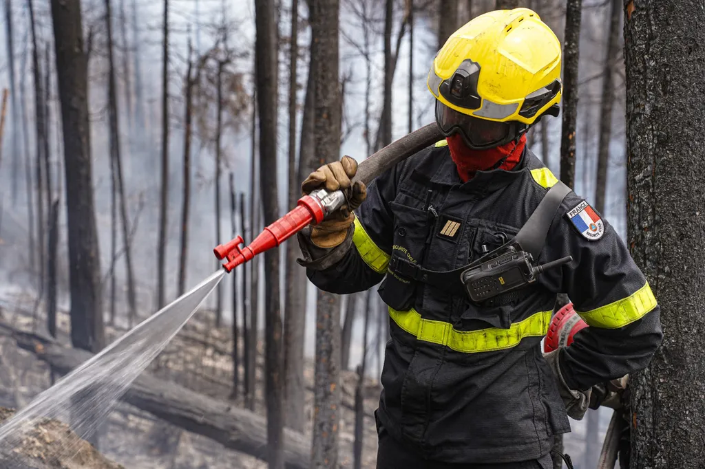 erdőtűz, tűz, erdő, Kanada, French firefighters assist with Canada wildfires Canada,fire,forest,France,Quebec,wildfires Horizontal 