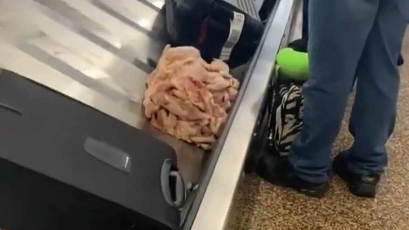 csirkehús csomagszállító szalag repülőtér Seattle 