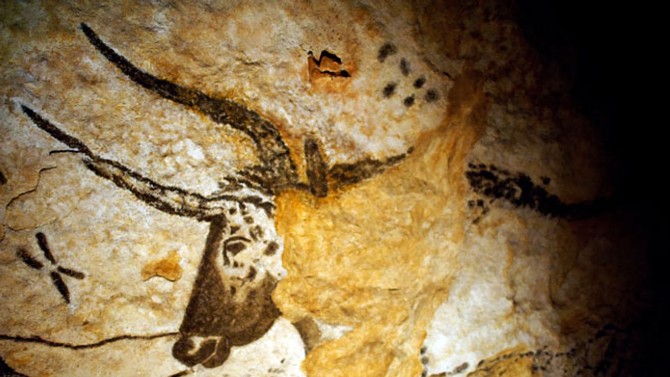 lascaux-i barlangrajzok, A nagyszarvú bika (bölény) szeme körül vannak a hüádok, a kisebb bikától jobbra a fiastyúk (pleiádok) 