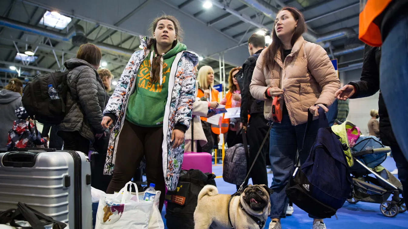 BOK, csarnok, menekültek, menekült, ukrán, ukránok, Magyarország, Budapest, tranzitpont, humanitárius, menedék 