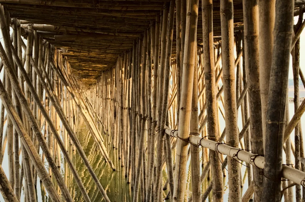 bambuszhíd 