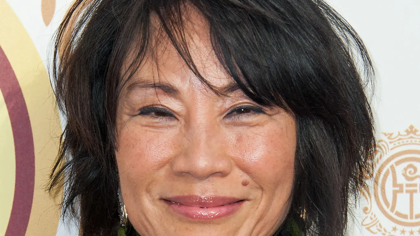 Oscars group elects Janet Yang as new president  film Horizontal 