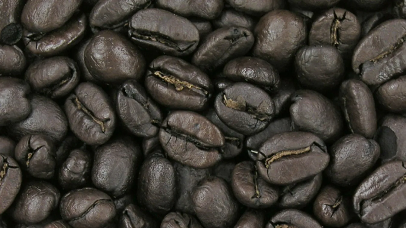 kávépörkölés 