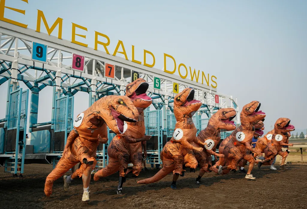 T-rex világbajnokság, Emerald Downs, galéria, 2023 