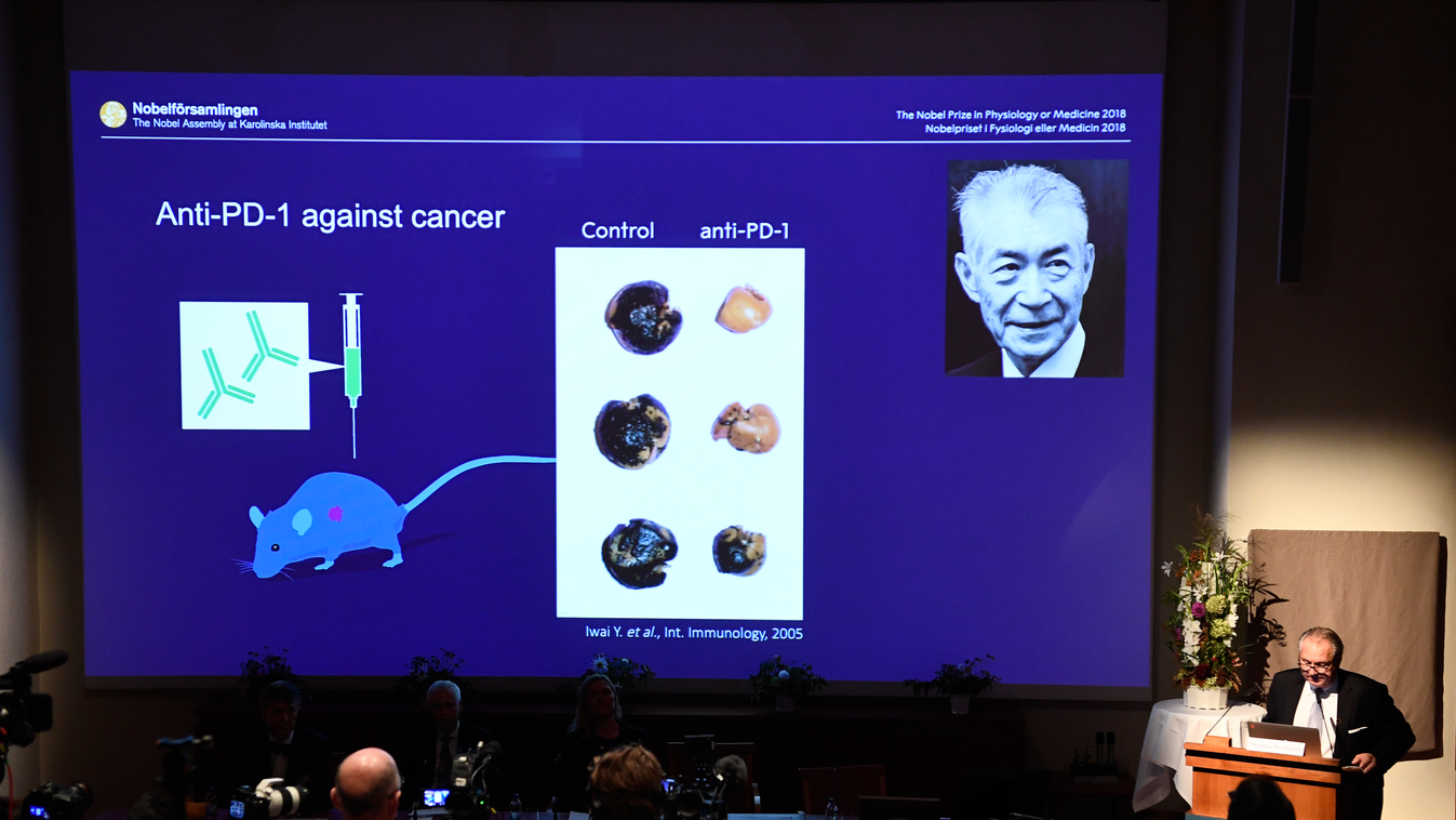 Hondzso kutatásainak vázlatos bemutatása a Nobel-díj bejelentésekor 