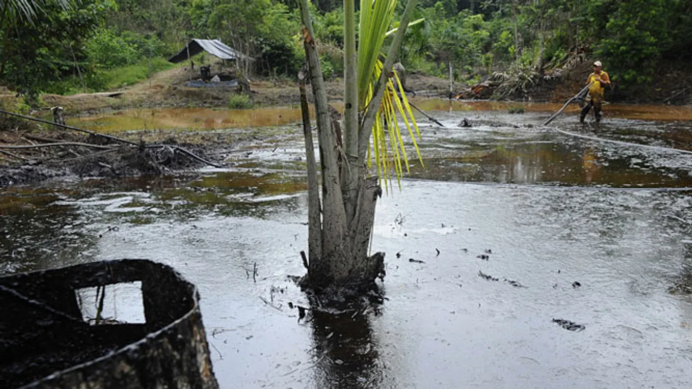 olajszennyezés egy ecuadori erdőben Rumipamba közelében 