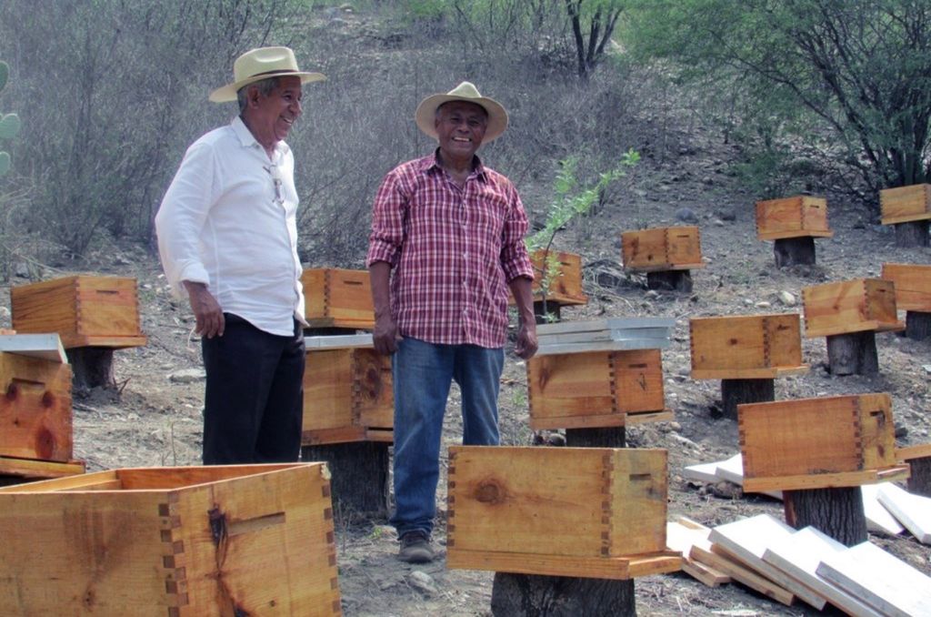 méz 
Íme a legnagyobb mézexportáló országok – galéria 