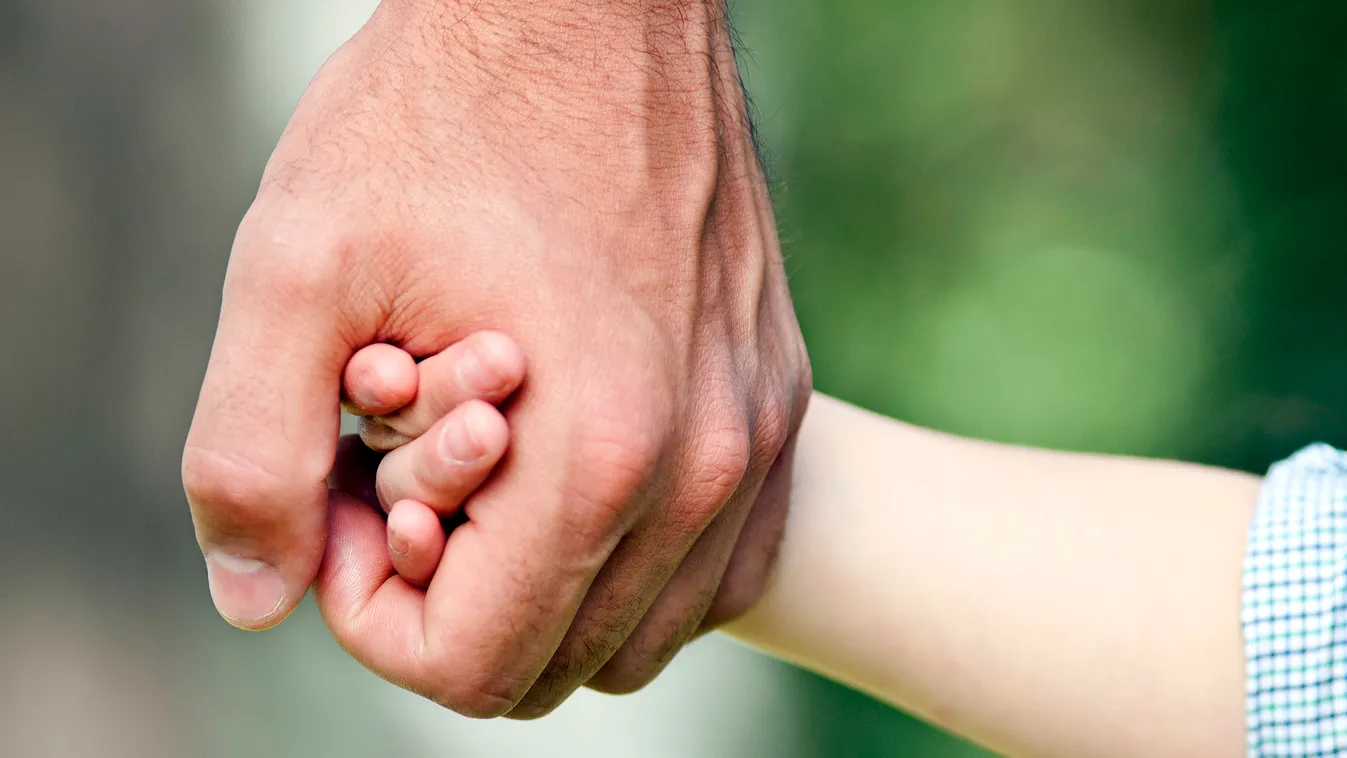 Father holding child's hand FATHER SON togetherness protection CARE dad PARENTS FAMILY one parent family with one child two people MAN BOY CHILD ADULT little boy fatherhood parenthood CHILDHOOD bonding day outdoors holding hands together arm body part cro