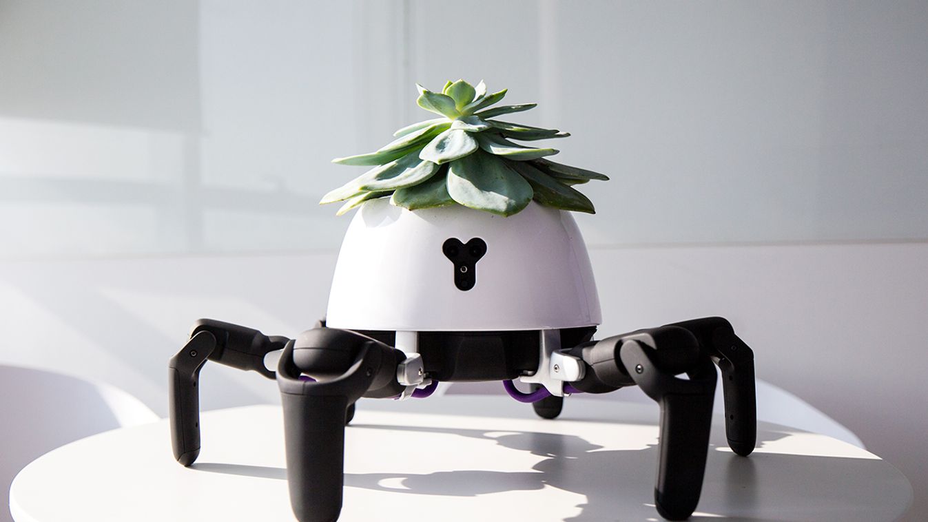 vincross hexa tianqi sun növény robot 