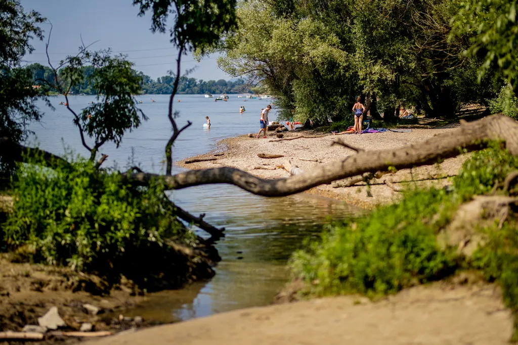 Dunakeszi szabadstrand hőség, meleg, időjárás, nyár, kánikula, víz,napozás, fürdés, nap, strand, Duna, fürdés, 2021.07.07. 