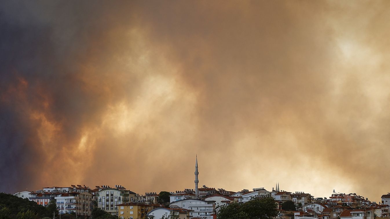 tűz, tűzvész, lángok, katasztrófa, Törökország, erdőtűz, Antalya, Manavgat 