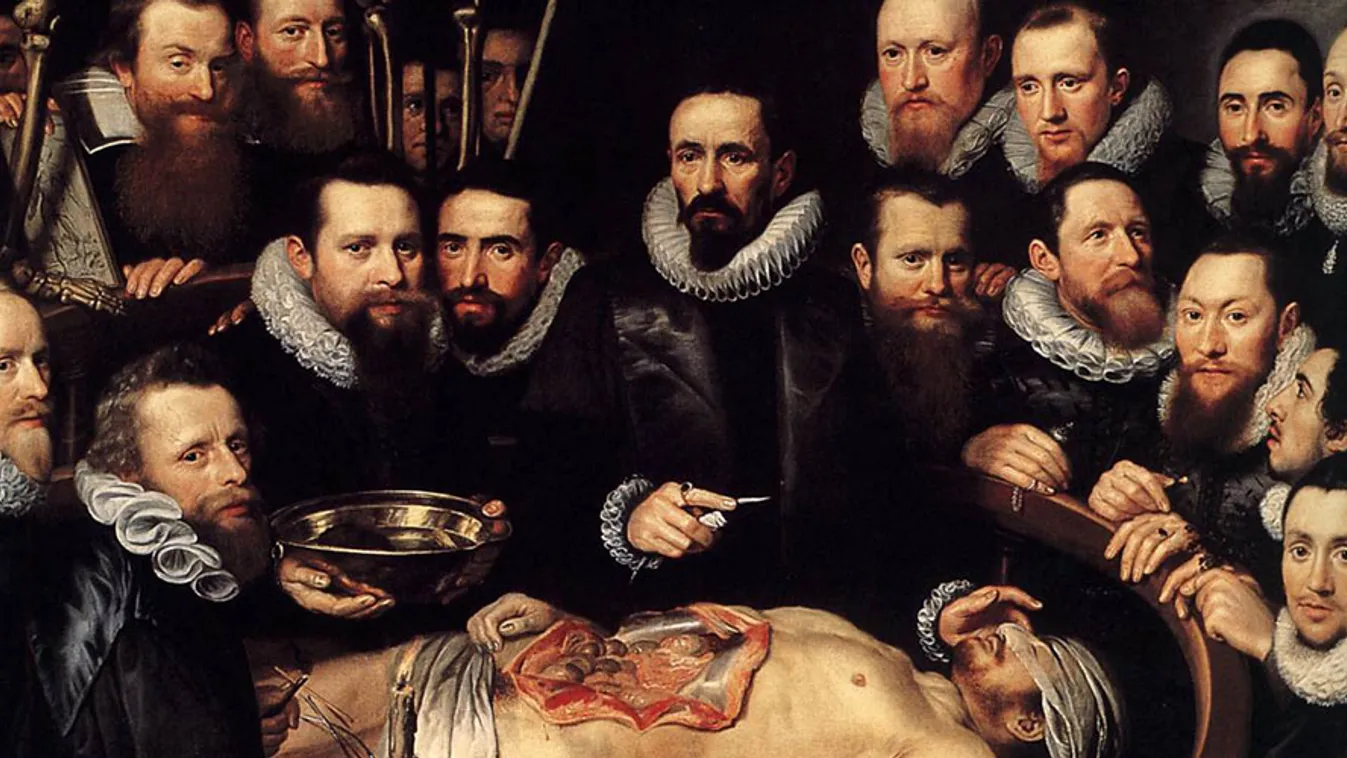 holttest, anatómia, illusztráció, Michiel Jansz van Mierevelt: Dr. Willem van der Meer anatómialeckéje