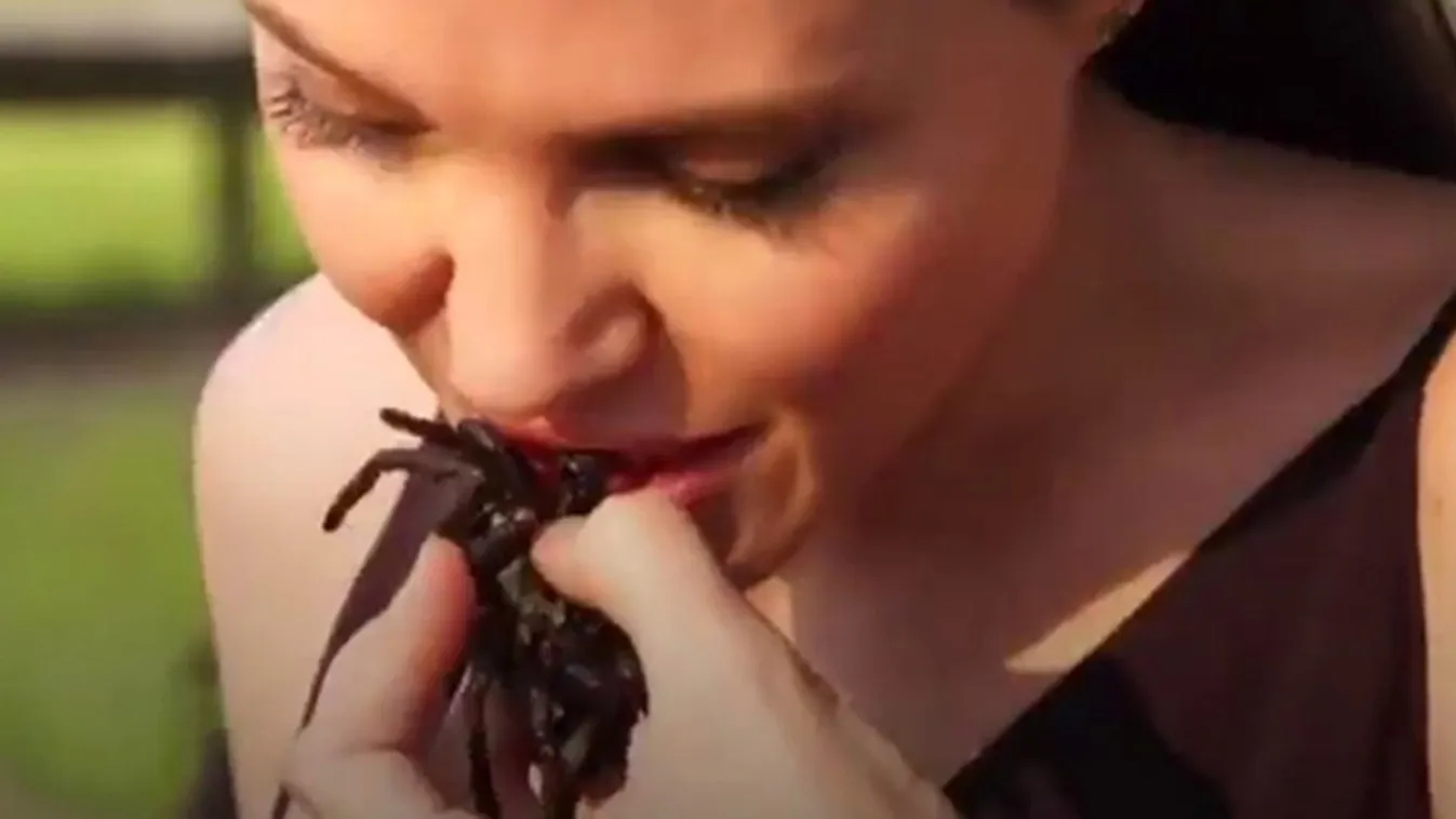 Angelina Jolie pókot eszik 