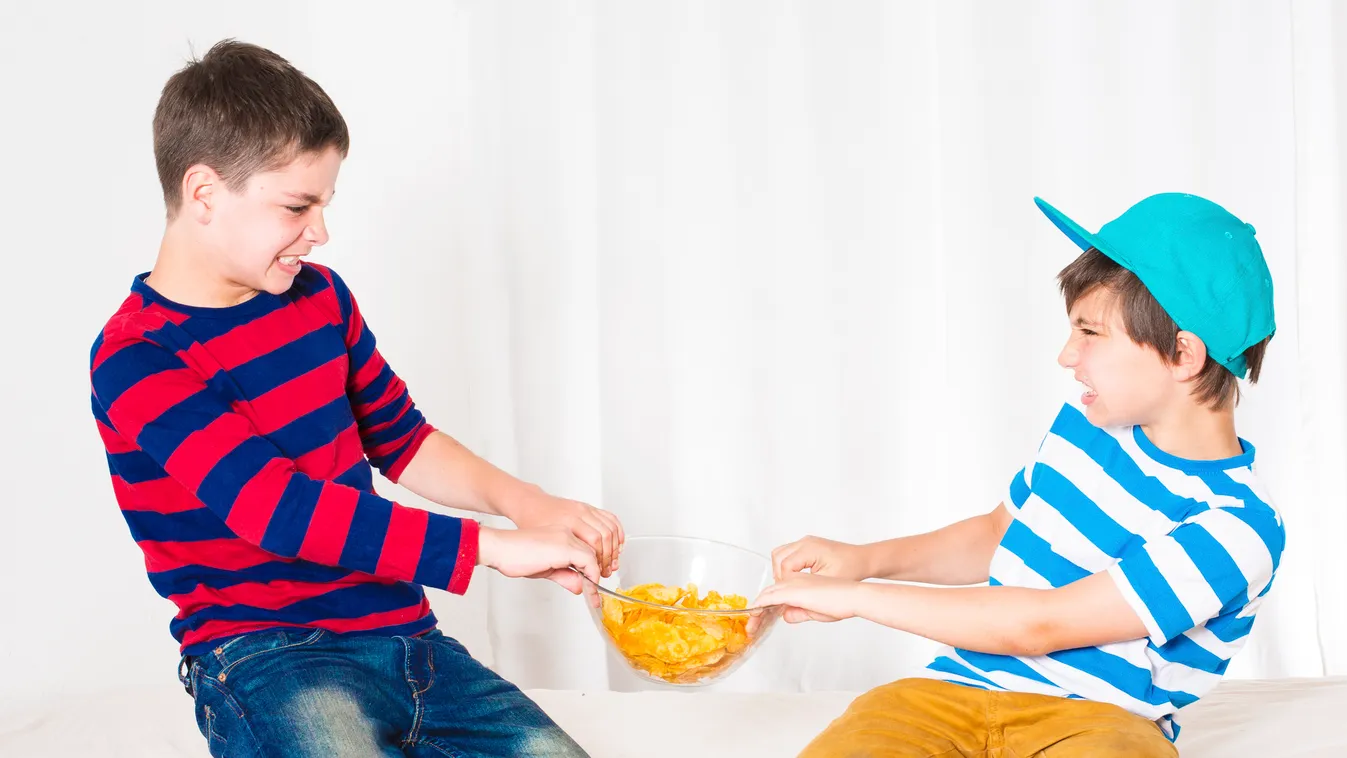 two boys fighting Aggression Anger Arguing Bed Bedroom Behavior Bowl Brother Bullying Caucasian Child Childhood Conflict Displeased Facial Expression Family Fighting Fist Furious Home Interior Little Boys People Playful Portrait Potato Chip Problems Rival