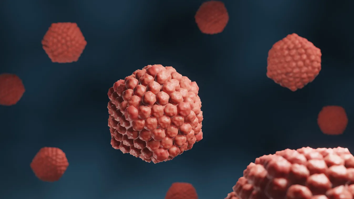 A herpeszvírus módosításával sikerülhetett egy hatékony rákellenes terápiát alkotni 