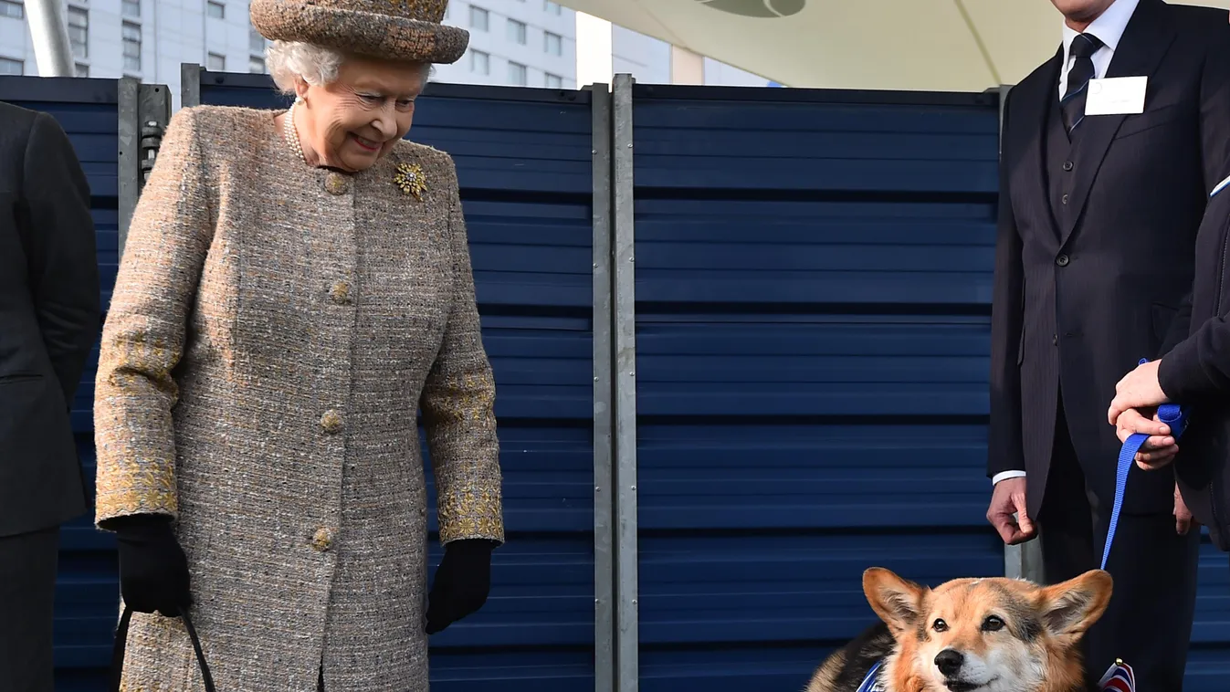 News, Nem lesz több kutyája Erzsébet királynőnek 
