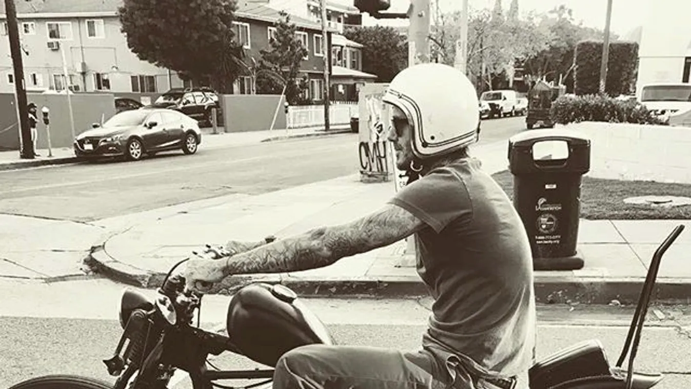 David Beckham Harley Davidson Panhead 