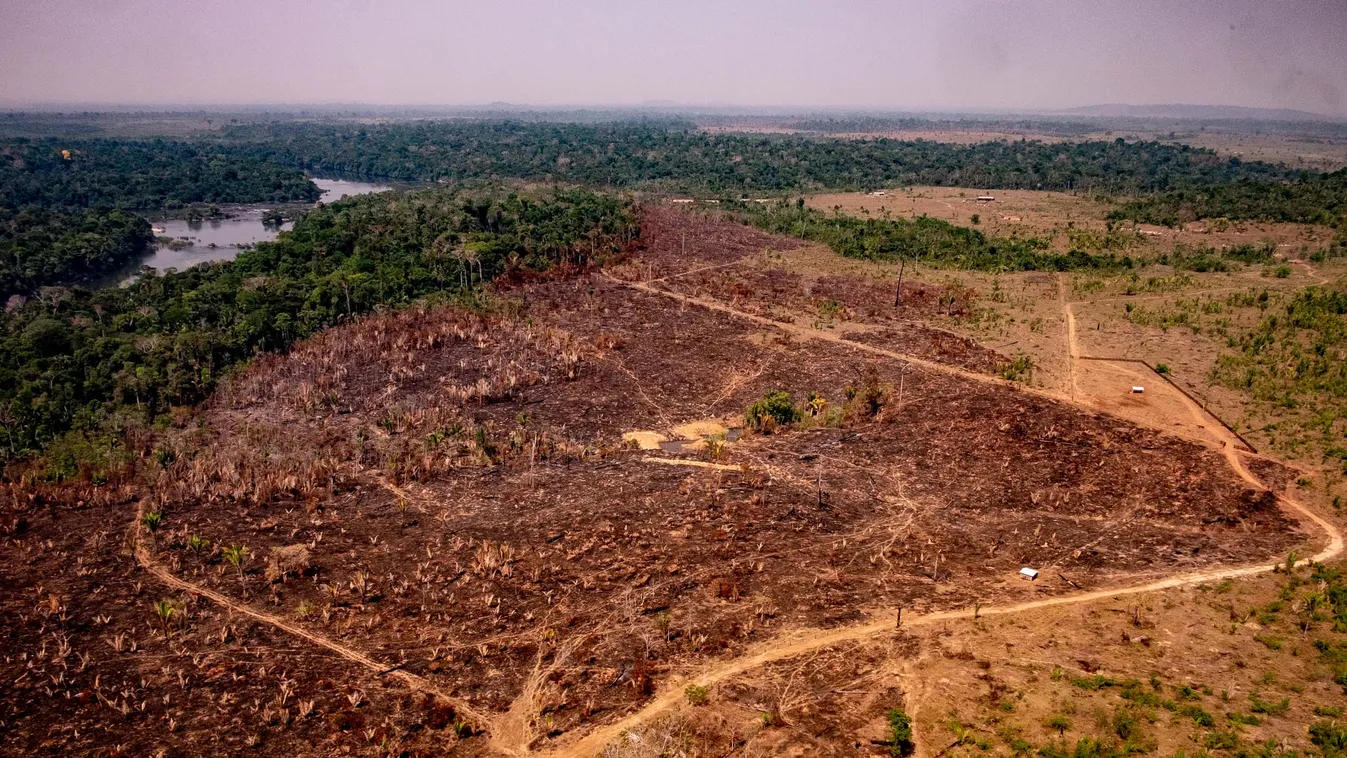 forests Horizontal AMAZONIA AMAZONIAN FOREST AERIAL VIEW FOREST DEFORESTATION DAMAGE ENVIRONMENT 