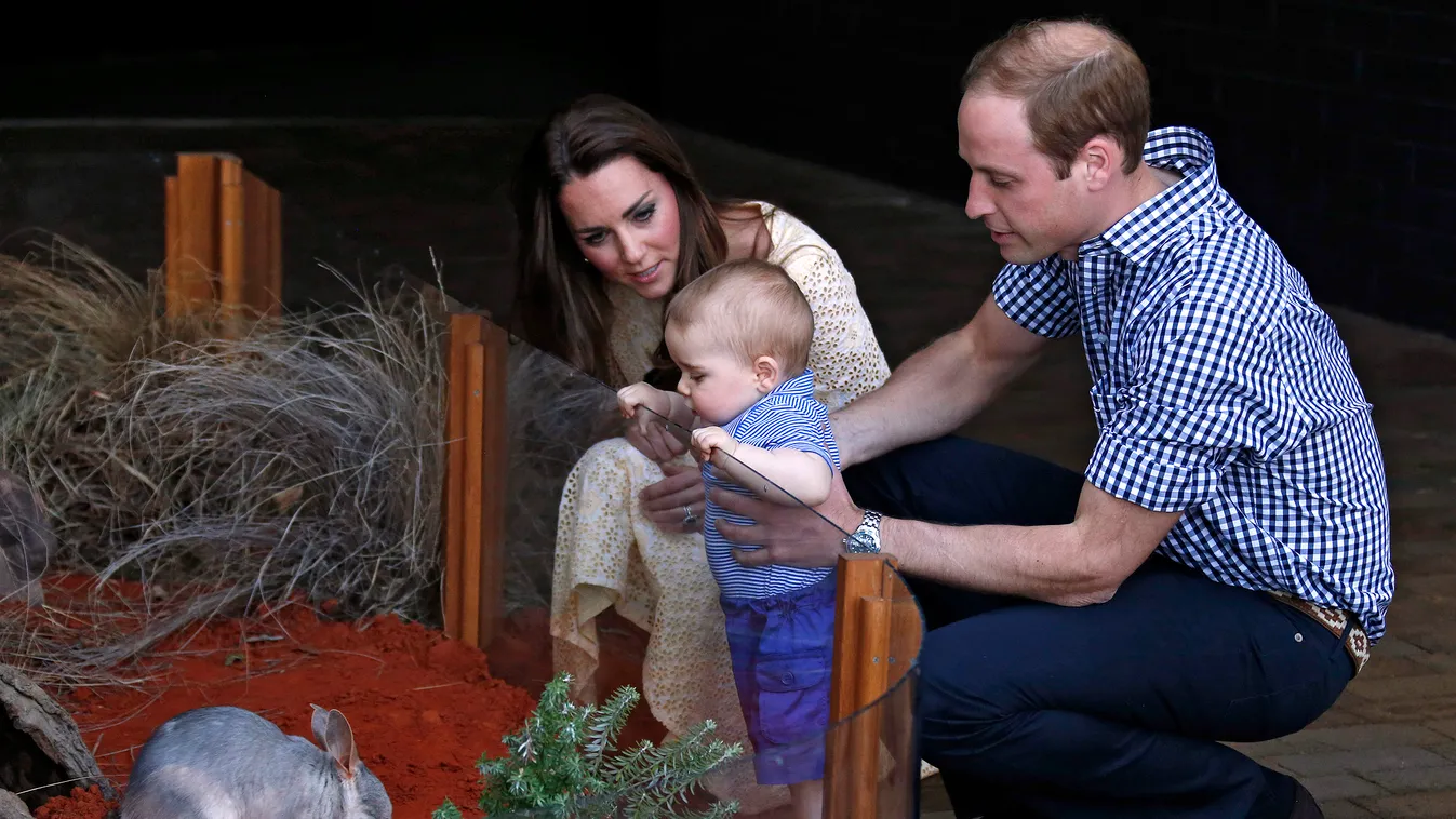 György herceg és a bilby, Vilmos herceg és családja a syndey-i állatkertben 