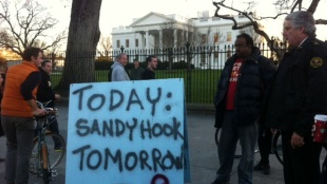 washingtoni tüntetés fehér ház sandy hook