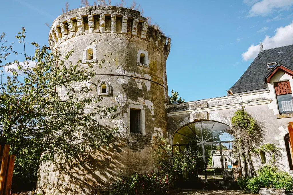 Chateau de la Mothe-Chandeniers 