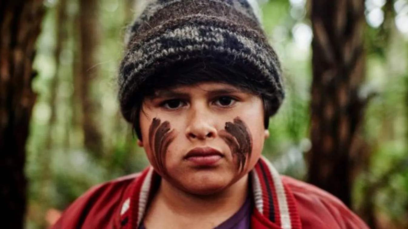 hunt for the Wilderpeople 
