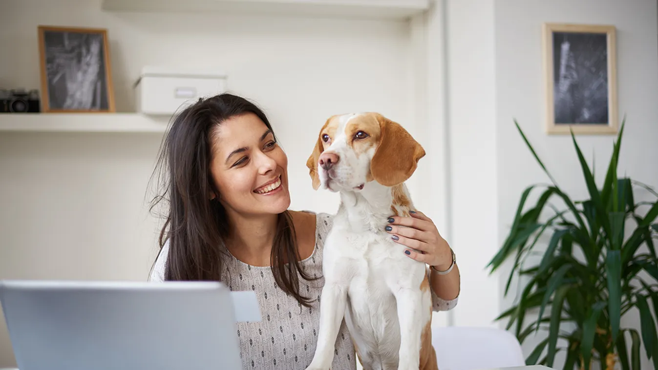 home office kutya Gondolj a kutyád mentális egészségére: szoktasd egyedüllétre a karantén alatt is! 
