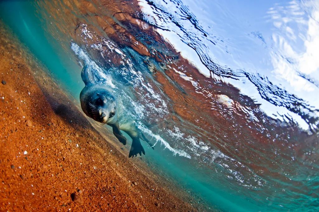 Rábida-sziget Galapagos vörös homok 