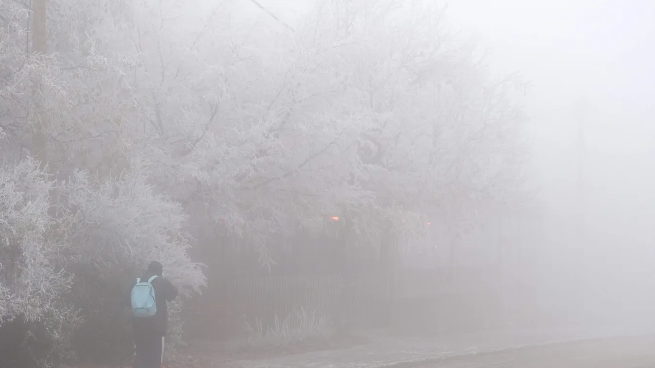 ÉVSZAK IDŐJÁRÁS ködös tél zúzmara 
