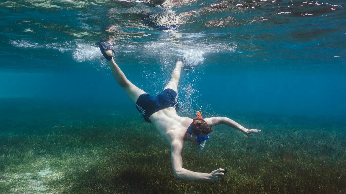 Young man snorkelling underwater 20-24 years adventure bare chest caucasian exploration freedom healthy living holding memories millennial motion nature one person outdoors Pacific snorkel snorkelling swimming búvár búvárkodás 