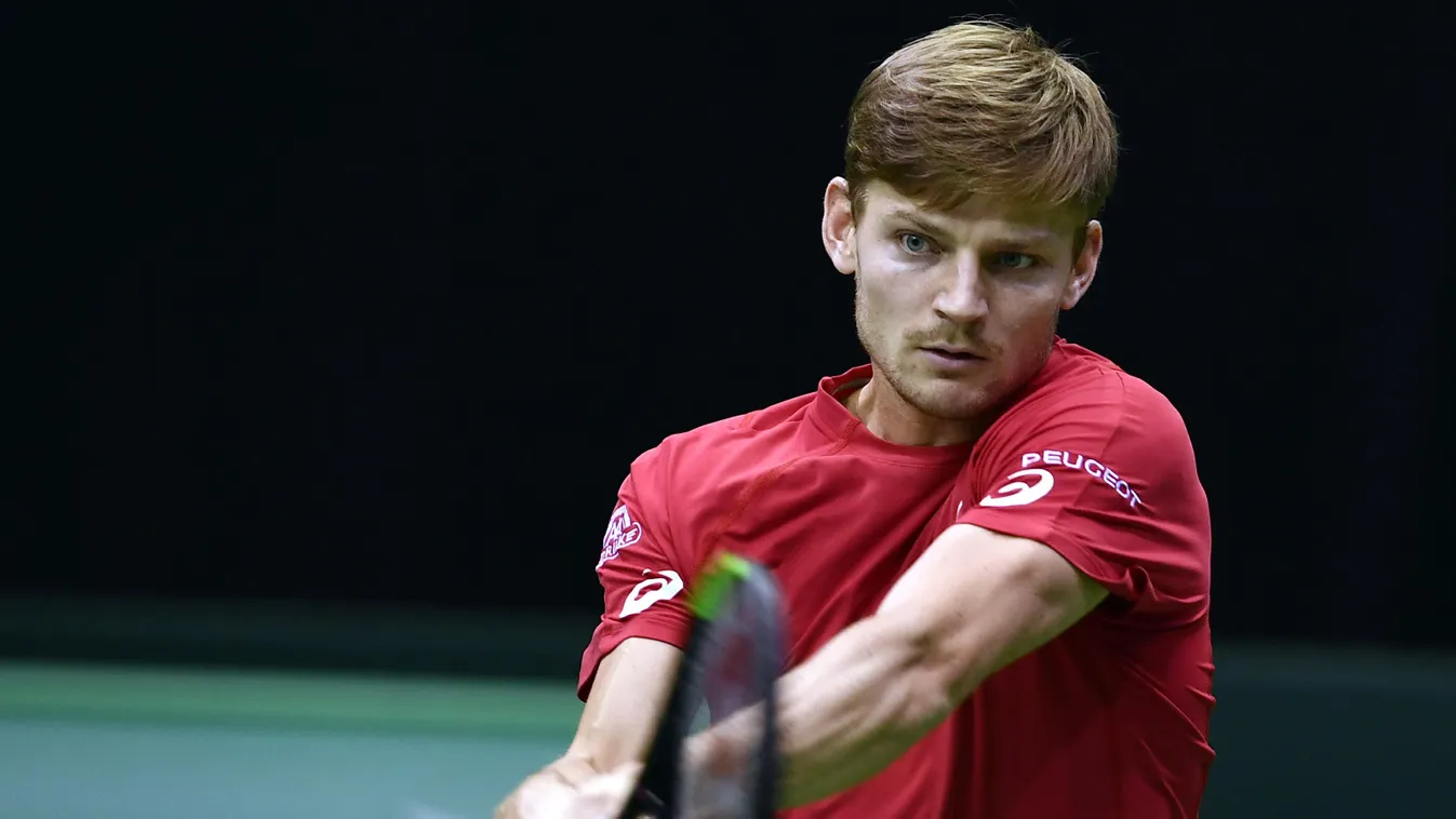 David Goffin 