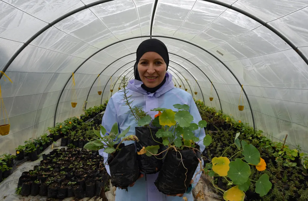 Virágzik az ehető növények piaca Tunéziában, galéria 