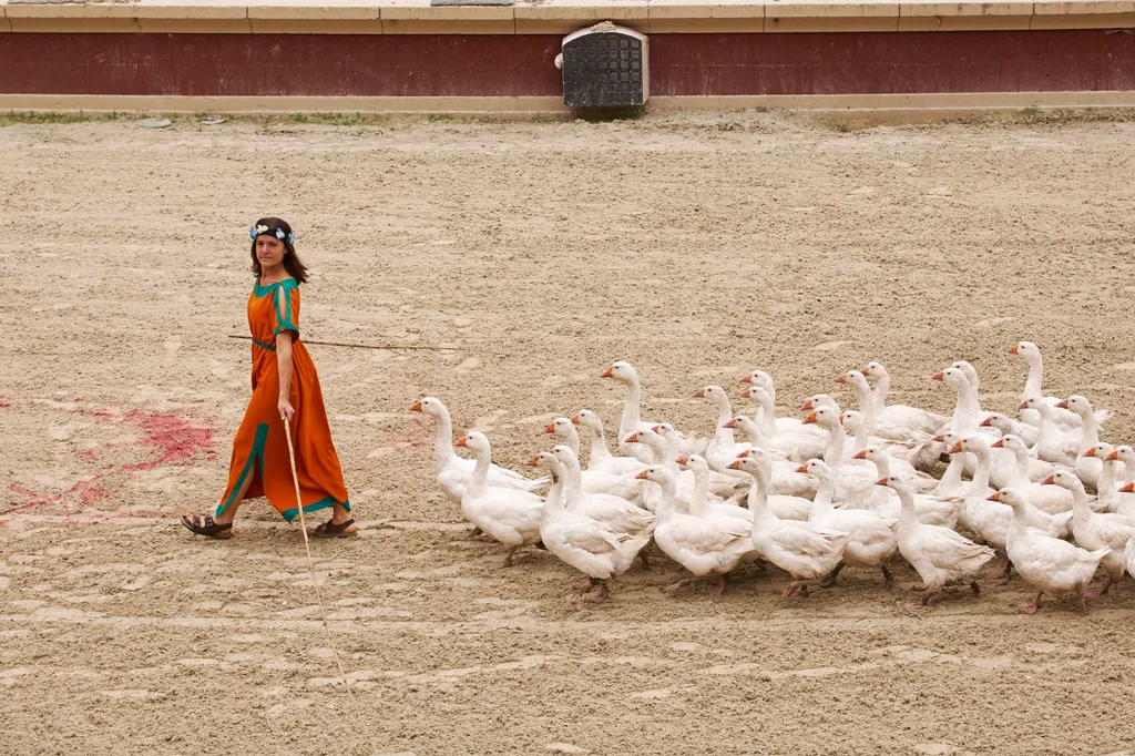 Le Puy du Fou szórakoztatópark Les Epesses 