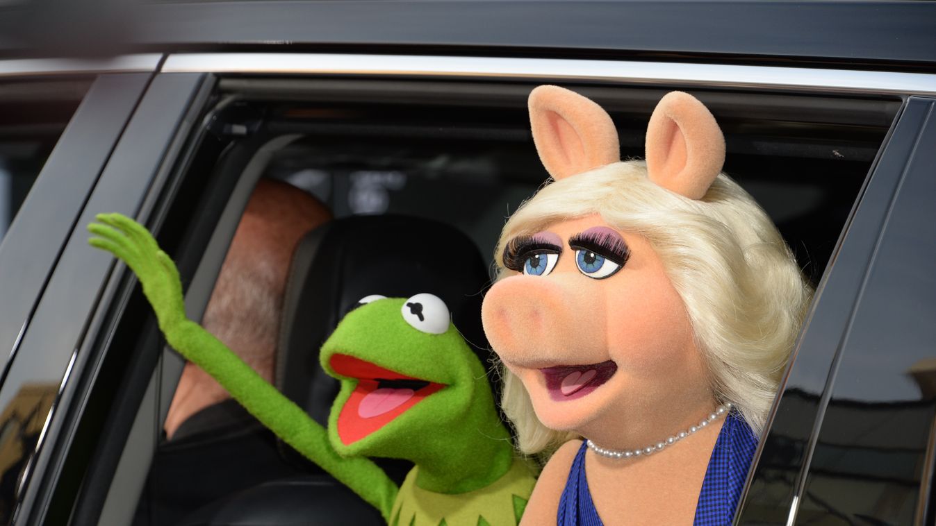 Love no longer blossoms for Miss Piggy and Kermit OFFBEAT HORIZONTAL PUPPET SHOW PREVIEW CINEMA ILLUSTRATION 