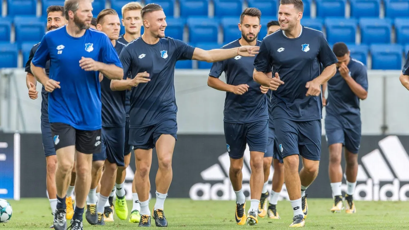 Szalai Ádám, Hoffenheim, BL 