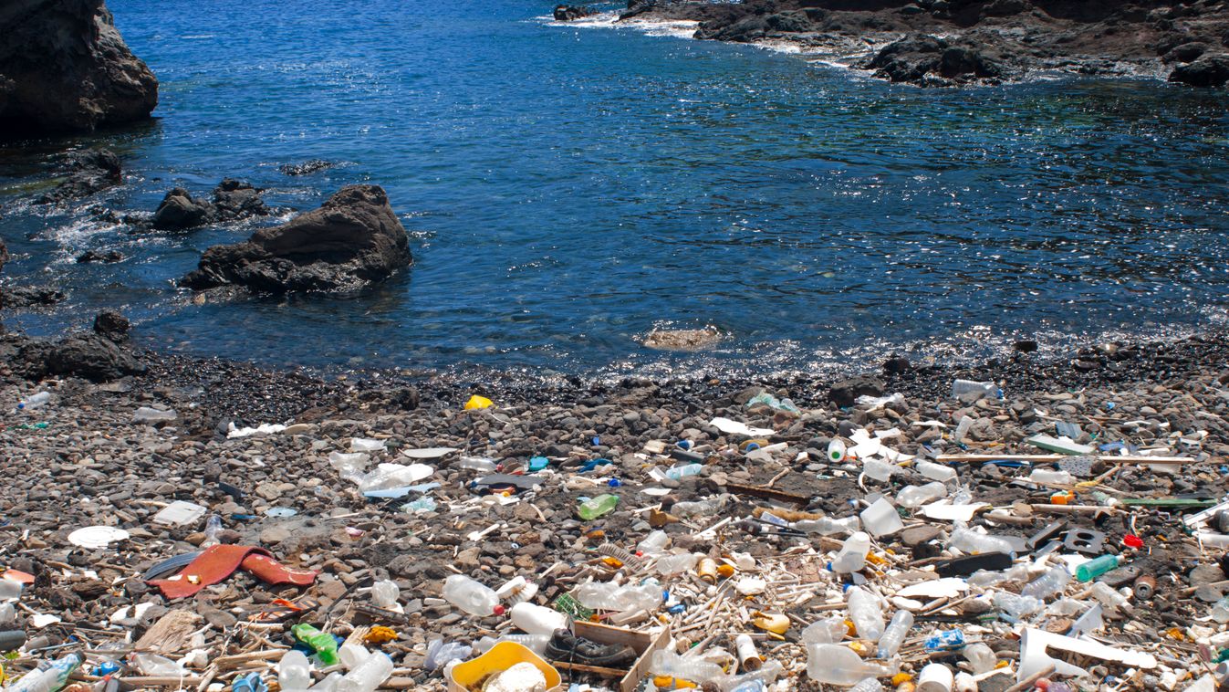 Műanyagkéreg képződik a part menti sziklákon az óceánok szennyezettsége miatt 
