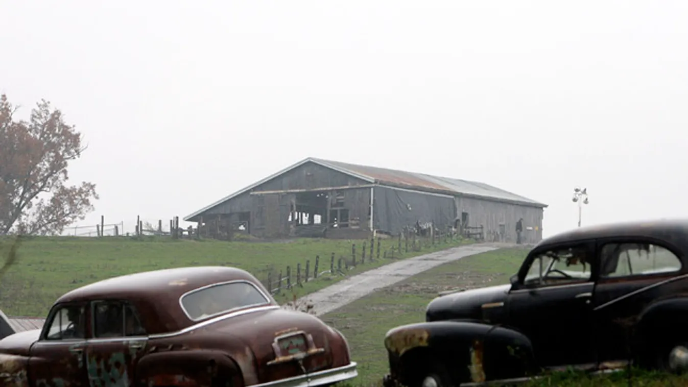 Ohio, Zanesville, farm,  elszabadult egzotikus állatok