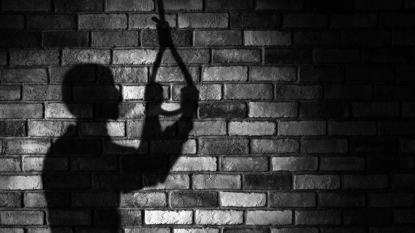 öngyilkos felakasztja magát kötél Egyedi Artúr rejtélyes halála: Mosdóra akasztva találták meg a versenyistállóst 