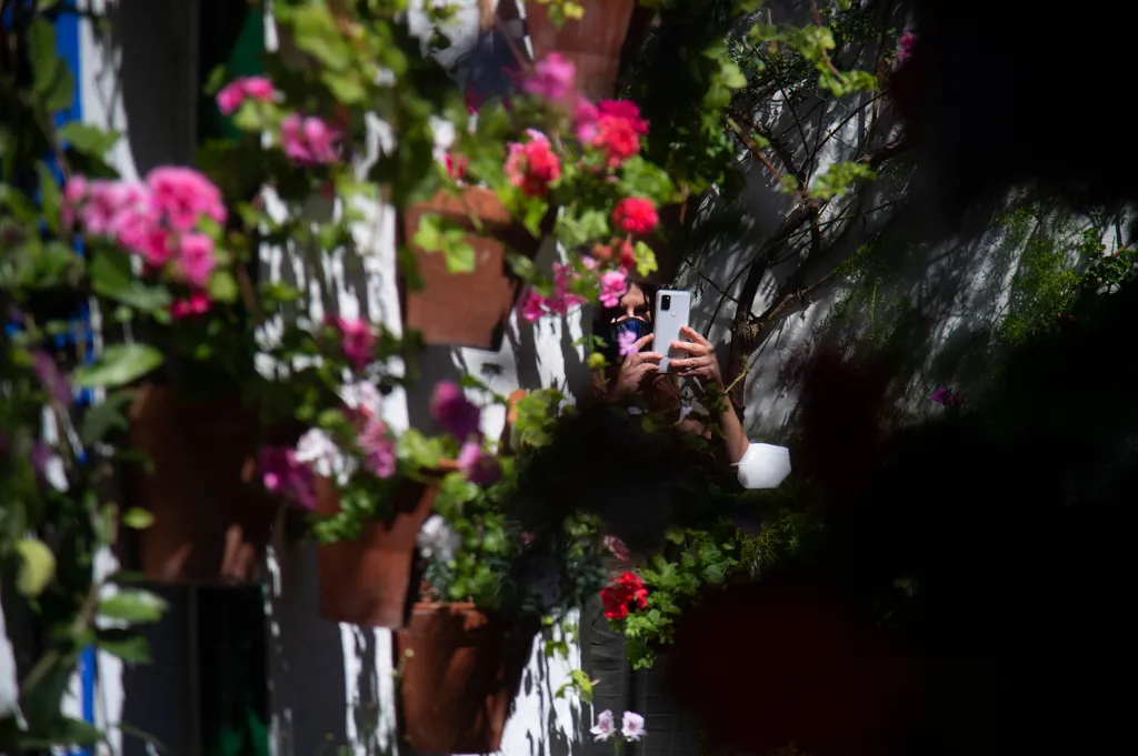 Cordoba Patios Festival Córdoba udavarfesztivál virágok 