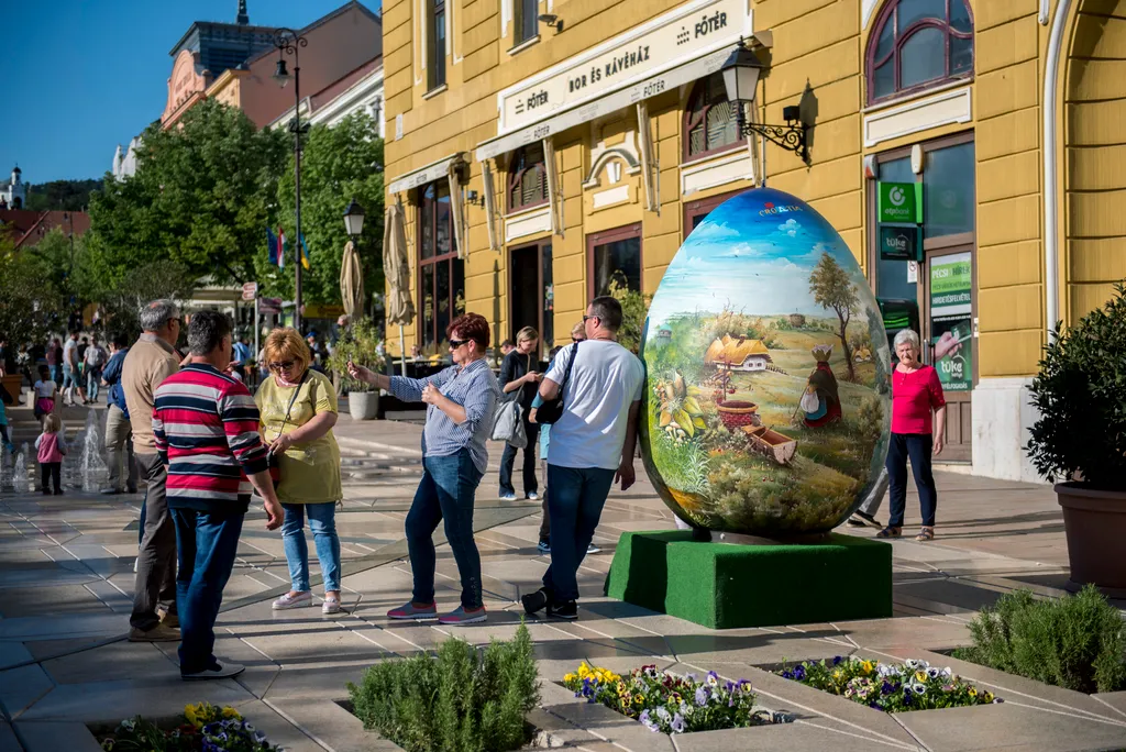 Ember nagyságú hímes tojás Pécs 2019 