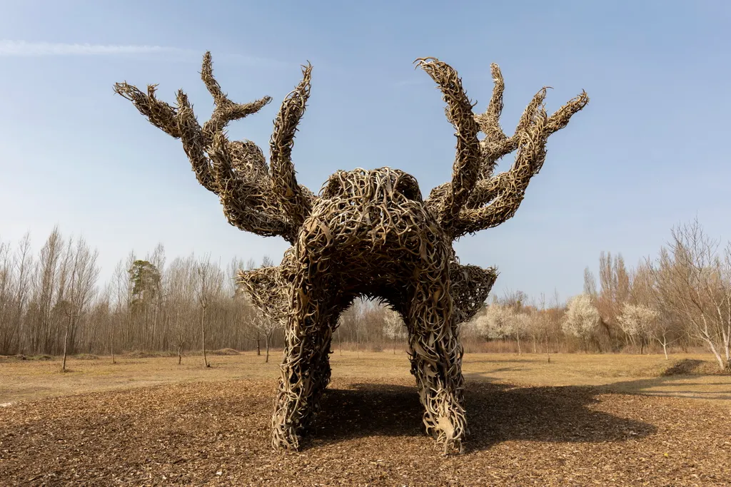 Vadászati és Természeti Világkiállítás, Szőke Gábor Miklós, Totem 